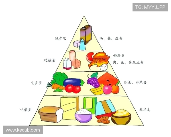 坚持力量训练与科学饮食打造健康体魄提升生活品质全面解析