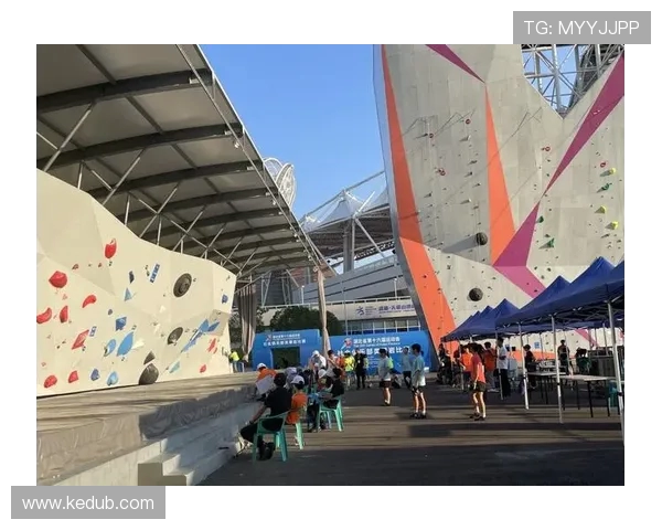 武汉攀岩队战术之争引发热议背后的深层原因与影响分析