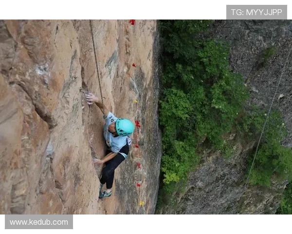 赛后分析：上海攀岩队与南京攀岩队意识碰撞的深度剖析与反思