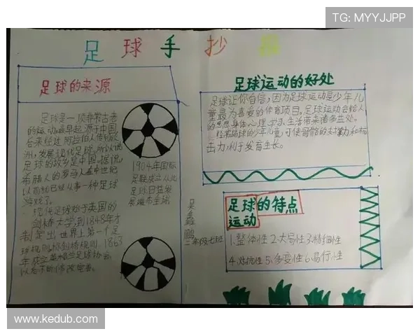 陈丽的足球人生：从草地到梦想舞台的深度对话与成长故事